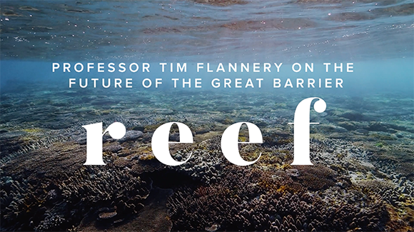 Professor Tim Flannery on the future of the Great Barrier Reef