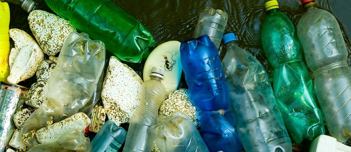 CAN EDIBLE ALTERNATIVES HELP TACKLE PLASTIC POLLUTION?