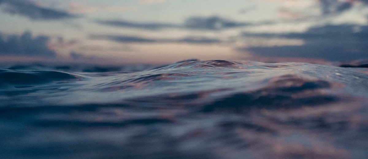 MEET THE FILMMAKER ON A QUEST TO SAVE OUR OCEANS