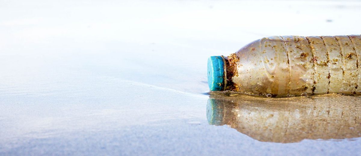 THIS WOMAN HAS DIVERTED 60,000 PLASTIC BOTTLES FROM LANDFILL. HERE’S HOW.