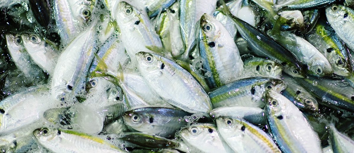 MICROBEADS: WHY TWO YEARS IS TOO LONG FOR A BAN