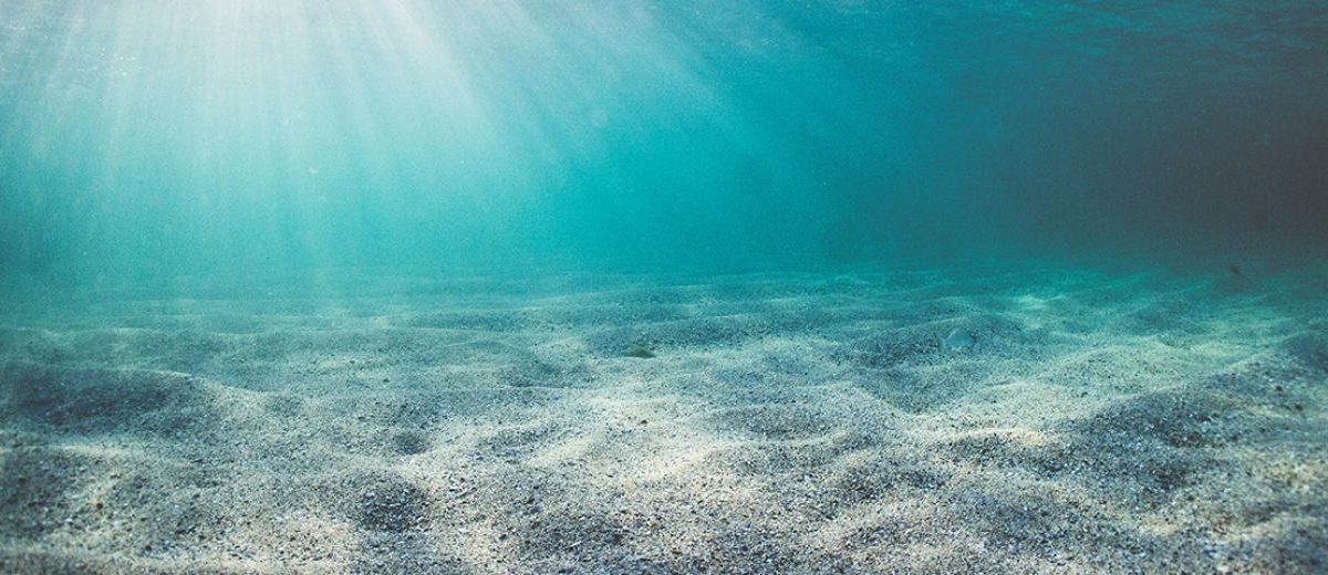 THE THREE BIGGEST THREATS THE OCEAN FACES (AND HOW YOU CAN HELP!)