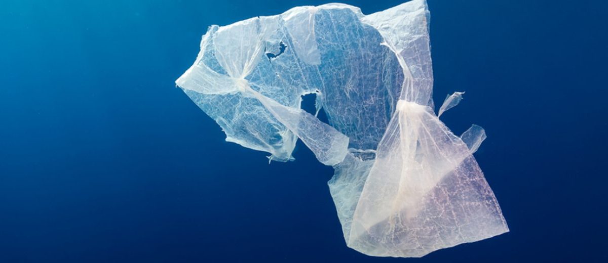 PLASTIC BAGS: WHAT’S THE DIFFERENCE BETWEEN DEGRADABLE, COMPOSTABLE AND BIODEGRADABLE?